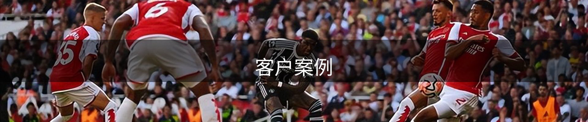 客户案例