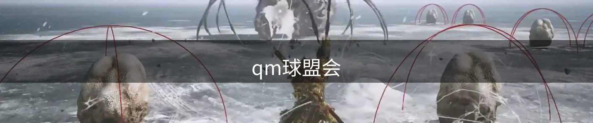 qm球盟会·(中国)球盟会